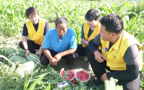 绿洲农业涌起“甜蜜绿浪”，国投罗钾铸就新疆下野地西瓜甜度标杆