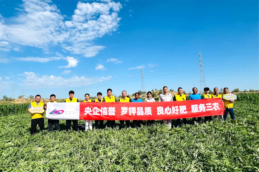 绿洲农业涌起“甜蜜绿浪”，国投罗钾铸就新疆下野地西瓜甜度标杆插图4