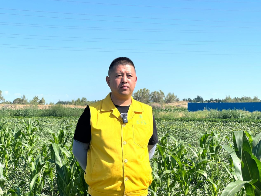 绿洲农业涌起“甜蜜绿浪”，国投罗钾铸就新疆下野地西瓜甜度标杆插图10