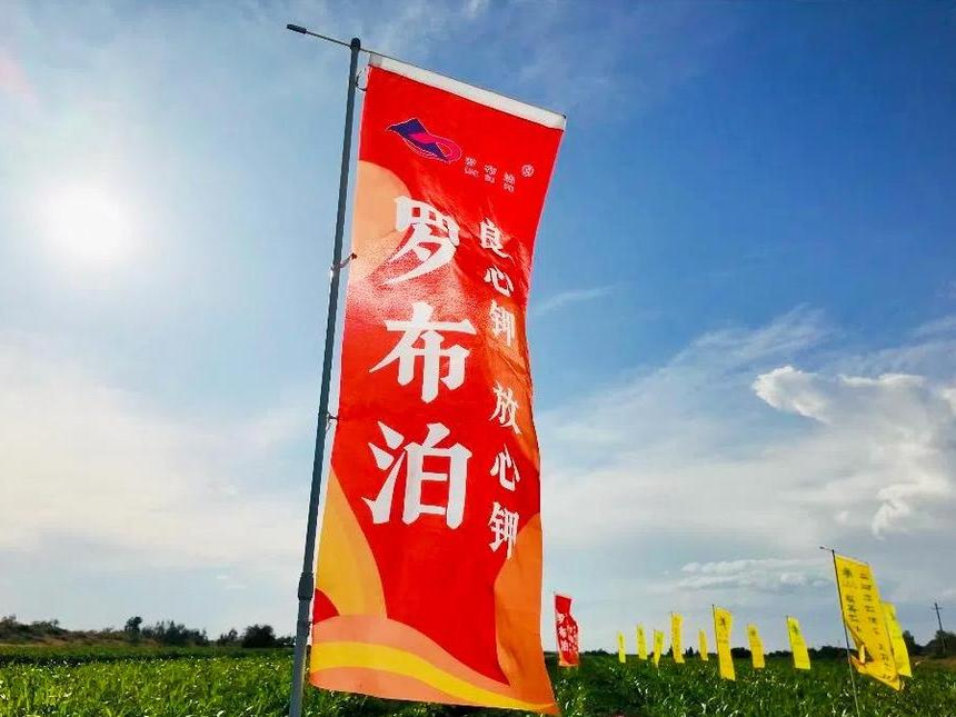 绿洲农业涌起“甜蜜绿浪”，国投罗钾铸就新疆下野地西瓜甜度标杆插图12