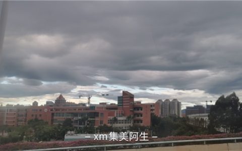 “丹娜丝”来袭，墨迹天气实时护航：精准预报助力台风挑战