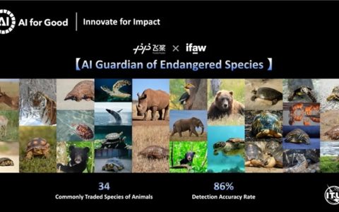 ​入选联合国案例集！AI拯救濒危动物，飞桨助力清除1.3万余条非法贸易广告