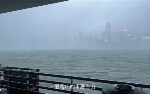 台风“范斯高”“竹节草”“罗莎”三台共舞，墨迹天气带您掌控风雨动向