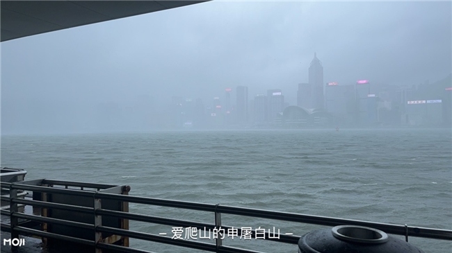 台风“范斯高”“竹节草”“罗莎”三台共舞，墨迹天气带您掌控风雨动向插图