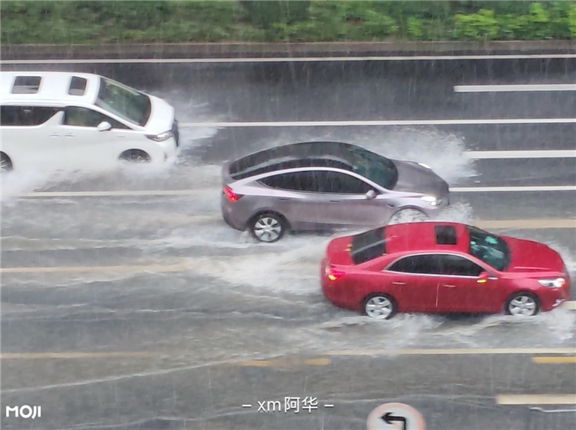 台风“范斯高”“竹节草”“罗莎”三台共舞，墨迹天气带您掌控风雨动向插图2