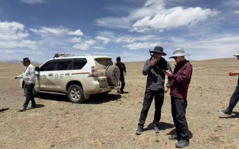 猎捕野牦牛幼崽，青海2人被抓！