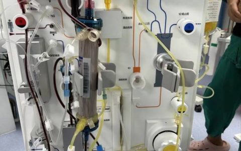 野生蘑菇雨后疯长，致命高发季来了！大连市卫健委提醒