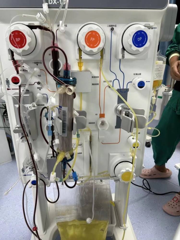 野生蘑菇雨后疯长，致命高发季来了！大连市卫健委提醒插图