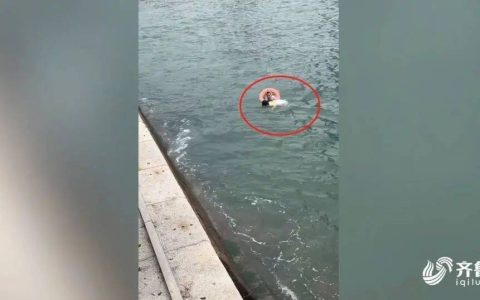 为栈桥“玉米阿姨”点赞！57岁刘玉荣纵身一跃救下落水女游客
