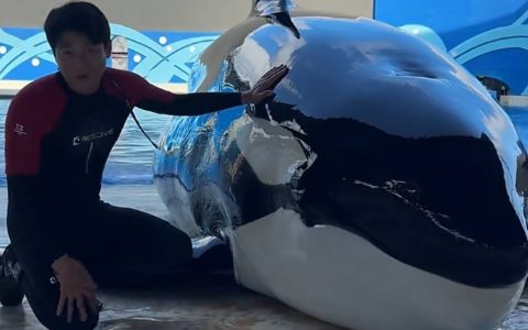 上海急招全职”搓澡工”，月入过万！网友心动：想报名