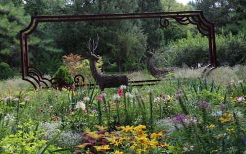 盆景荟萃、文化活动、夜景照明 景山“消夏”模式已开启