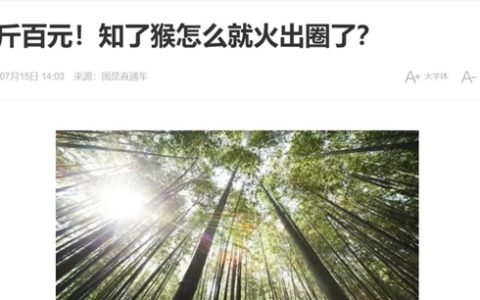有人抓“知了猴”一晚能赚几百元！这么值钱为何鲜有人养殖