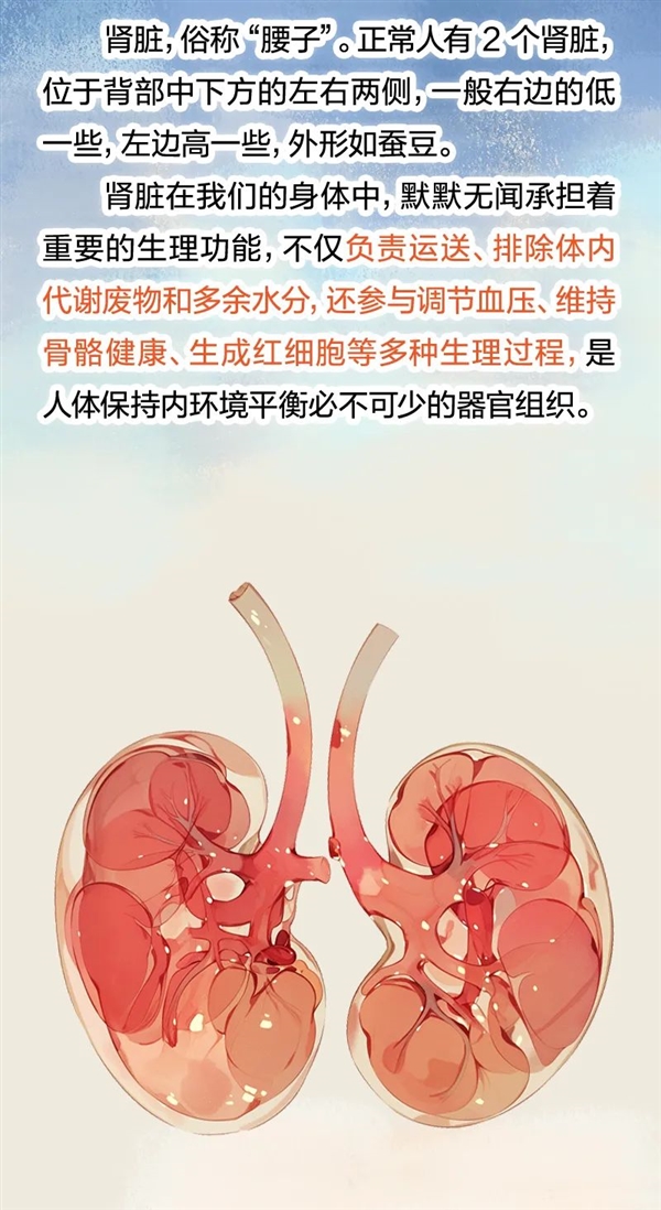 透支的肾是补不回来的！5个伤肾行为很多人都在做插图2