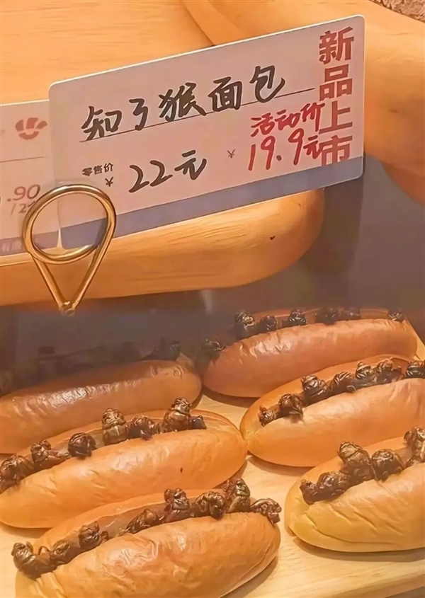 有人抓“知了猴”一晚能赚几百元！这么值钱为何鲜有人养殖插图10