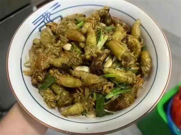 有人抓“知了猴”一晚能赚几百元！这么值钱为何鲜有人养殖插图12