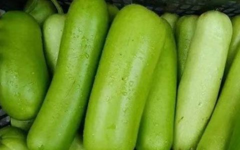 紧急提醒！这种夏日常吃的瓜，一旦出现这情况立刻扔！
