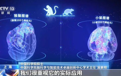 我国脑图谱研究系列成果集中发布 解密人类大脑有了关键手段