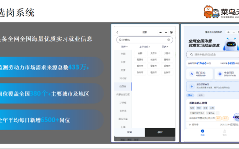 菜鸟无忧：用科技编织就业服务网络，让精准与温度并存