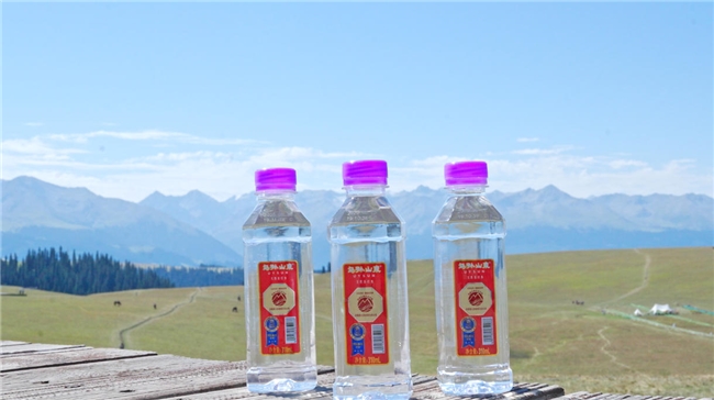 源起乌孙・疗愈未来 乌孙山泉首届水疗康养产业推介大会启幕 共谱自然与科技融合的康养新篇插图12