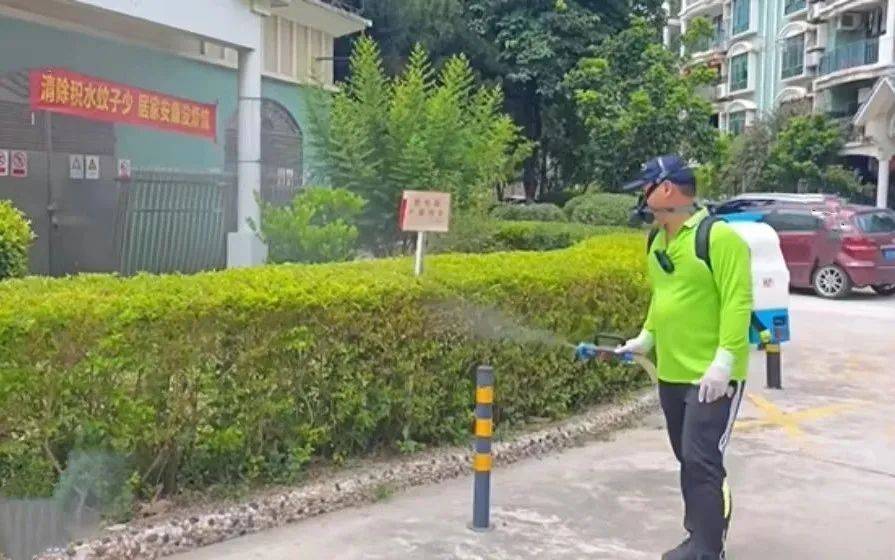 蚊子已产生抗药性？关于基孔肯雅热，专家解答插图2