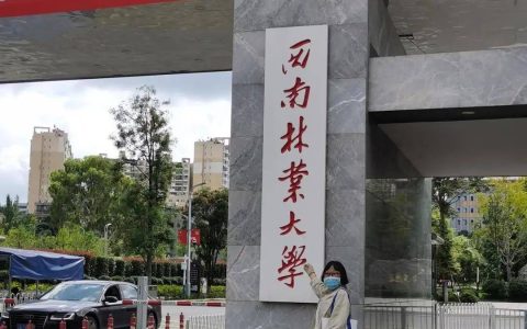 50岁退休阿姨法硕上岸：因意外致残，靠学习走出创伤