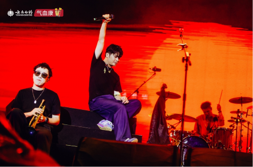 云南白药气血康【气血声命力】IP营销战役，打造“健康+音乐”新范式插图10