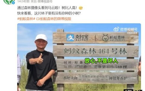 马云时隔六年再次探访蚂蚁森林,和树比高
