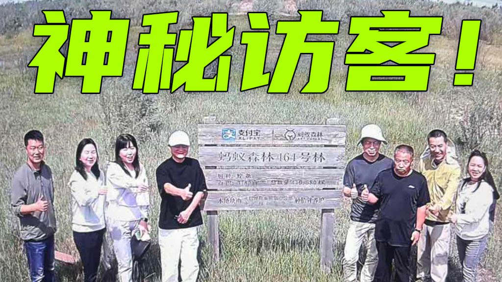 马云时隔六年再次探访蚂蚁森林,和树比高插图2
