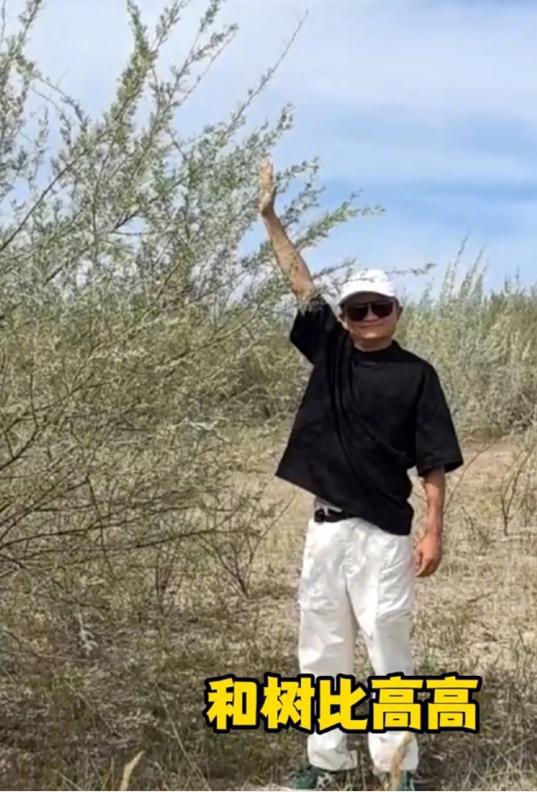 马云时隔六年再次探访蚂蚁森林,和树比高插图4