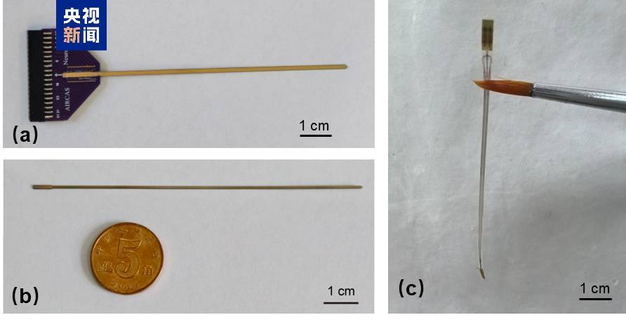 全球首次！我国植入式脑机接口取得新突破插图