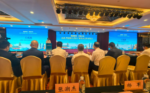 山西—粤港澳大湾区对接活动举办，葡小玥助力两地携手共进