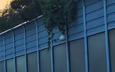 沈阳二环高架葫芦丢失事件当事人道歉：被记9分 罚款200元