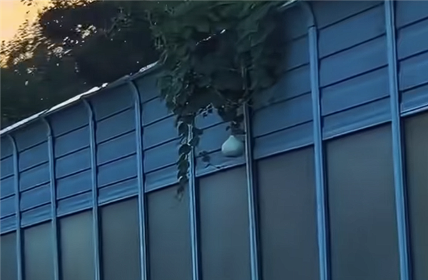 沈阳二环高架葫芦丢失事件当事人道歉：被记9分 罚款200元插图