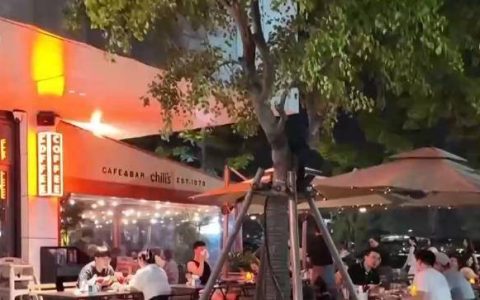 夜间消费热潮涌动！多地创新业态和场景 激发消费“夜活力”