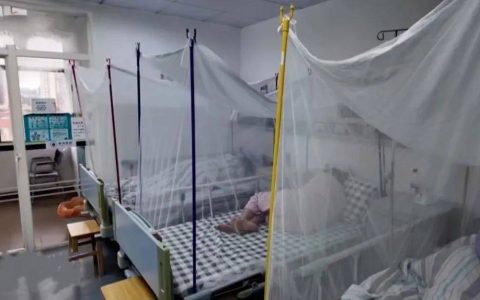 蚊子已产生抗药性？关于基孔肯雅热，专家解答