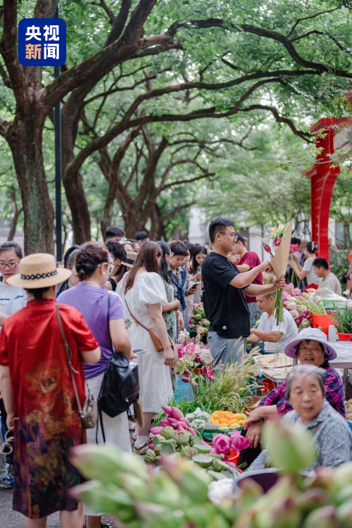 央视报道：苏州金龙海格蔚蓝公交“荷花专线”火出圈！插图
