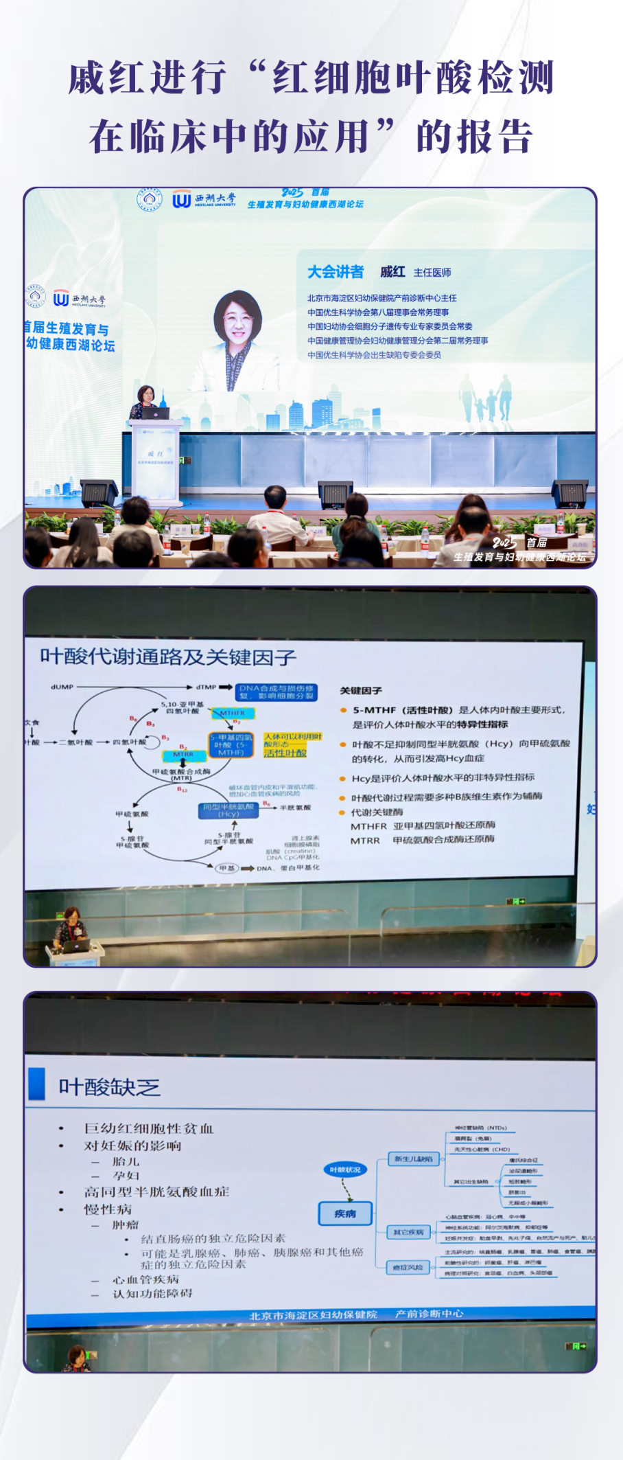 ​活叶维VITOPHARM受邀参加届首届“生殖发育与妇幼健康西湖论坛”插图6