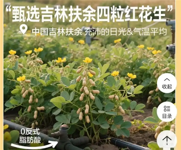 良品铺子就“花生上树”致歉：系错误使用AI生成图片插图