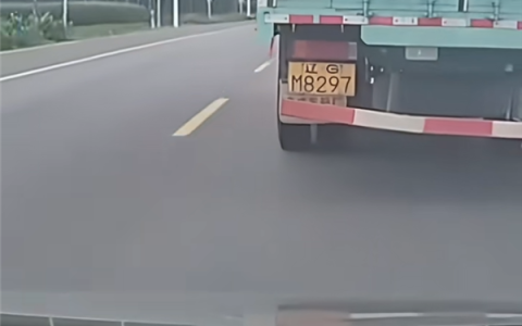 辽GM8297司机承认是故意的：一个转向灯避免意外事故