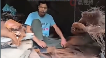 荒野求生决赛剩4名选手 网红抖哥开始准备“地暖”：秋冬会用到 预计决赛还要3个月插图