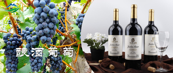 阿坝州农博会准备全面到位 高原净土敞开胸怀等您来插图