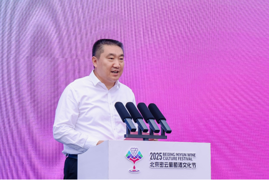 “山水密云 酒香世界”2025北京密云葡萄酒文化节盛大启幕插图2