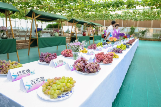 “山水密云 酒香世界”2025北京密云葡萄酒文化节盛大启幕插图20