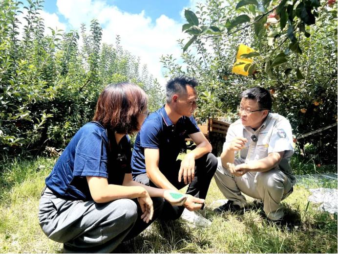 昭通果飘香，产业富一方 | 国投罗钾绘就昭通苹果产业新图景插图4