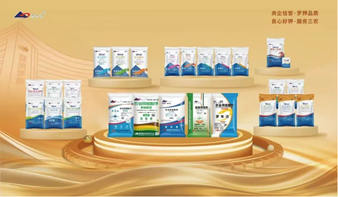 昭通果飘香，产业富一方 | 国投罗钾绘就昭通苹果产业新图景插图6