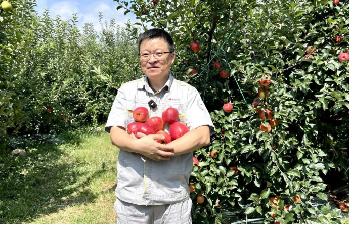 昭通果飘香，产业富一方 | 国投罗钾绘就昭通苹果产业新图景插图10