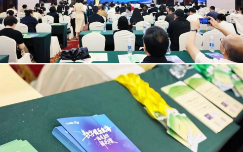 喜报丨汇付国际荣获年度优秀短剧出海跨境支付奖