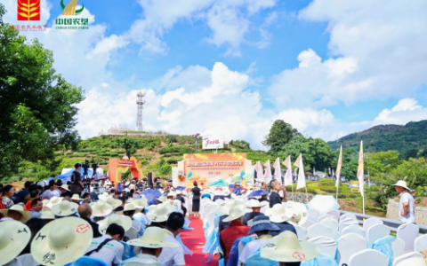 山海相约，共庆丰年！2025年中国农民丰收节垦地共庆丰收活动启动