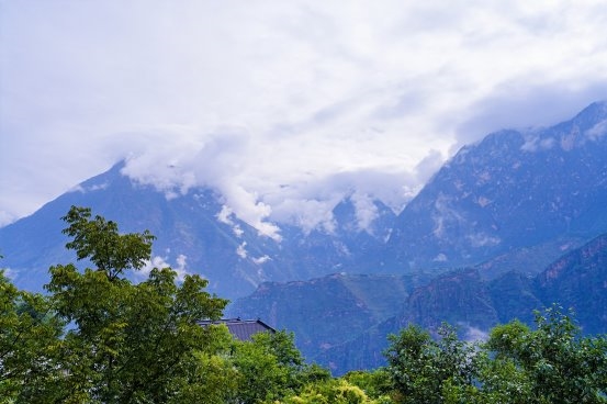以茶为“媒”  发展壮大村级集体经济插图