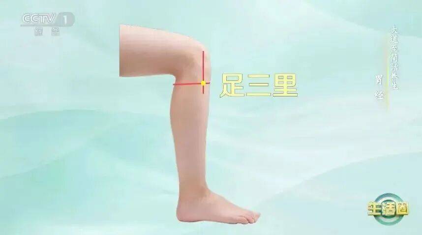 比走路还简单！每天“坐”10分钟，肝肾都受益了插图2